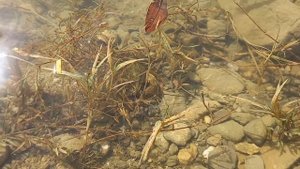 Рыбалка на Симферопольском водохранилеще