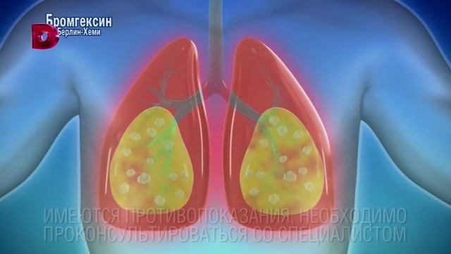 14 Домашний 11272021 реклама и заставки смотреть онлайн