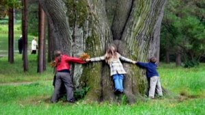 Осенний вальс.avi