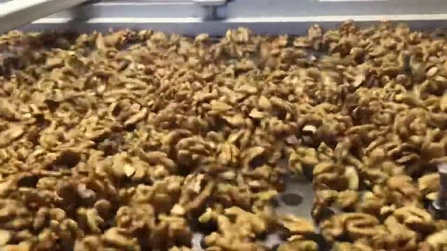 Перебор ядра грецкого ореха! смотреть онлайн