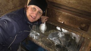 что у нас нового