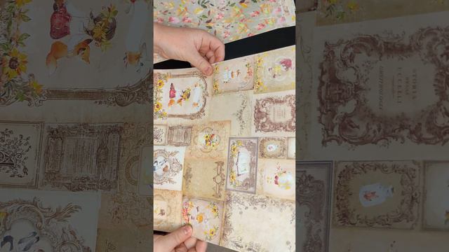 Обзор бумаги Summer studio Autumn stories смотреть онлайн