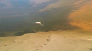 Воблер D-Contact 50S (реплика)