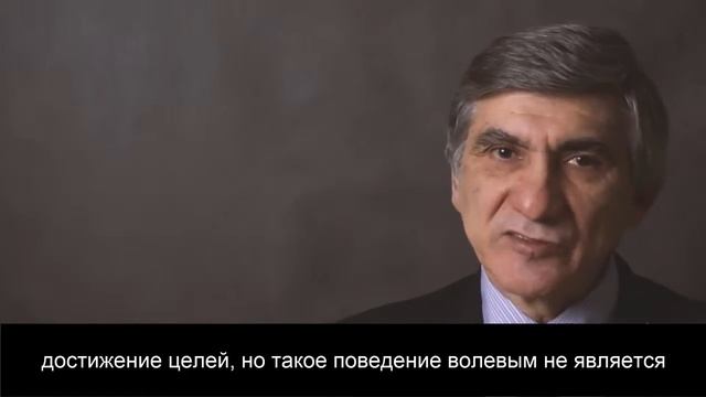 Как воспитывать волю в школе, а не ломать ее.