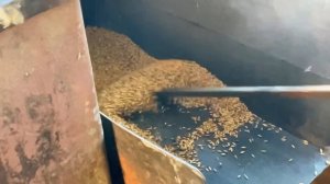 СТАРИННЫЙ способ производства МУКИ из Пшеницы и Ячменя. Экологический чистый продукт.