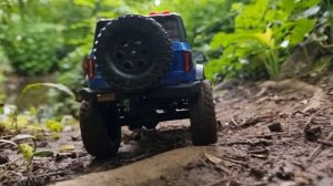 RC for the Soul - 1/24 Scale - Axial SCX24 Ford Bronco - Micro Crawler Forest Crawl #2