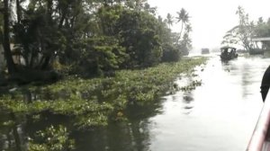 Alleppey: Backwaters' Tour START 1/6