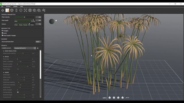 PlantCatalog: 3D Umbrella sedge - Cyperus alternifolius - procedural vegetation engine смотреть онлайн