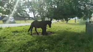 Село Тюлюк в Челябинской области