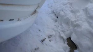 Ремень ГРМ в обход компрессора на Рено Логан