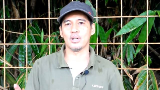 07 ~ REVIEW 1MORE TWS ANC & TIPS PAKAI EARPHONE смотреть онлайн