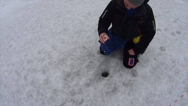 1 зимний Кубок предприятий Белгородской области по подледному лову 2018