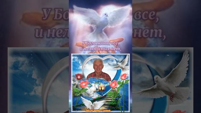 28.10.2023г. Дмитриевская Родительская Суббота.Царствие Небесное???Вечная Память❤️❤️❤️ смотреть онлайн