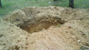 ПОШЕЛ ЗА ГРИБАМИ, А НАШЕЛ В ЛЕСУ СТРАШНУЮ НАХОДКУ!