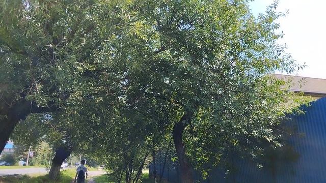 Прогулка по городу Алексино, Тульская область: прогулка 3 августа, часть первая.