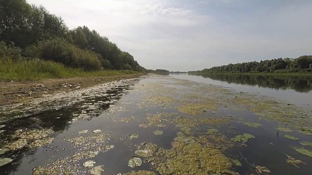 Этот твистер рыбе по душе! Спиннинг на Оке! Окунь и Берш на отводной! смотреть онлайн