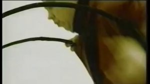 Смысловые Галлюцинации - Звёзды 3000