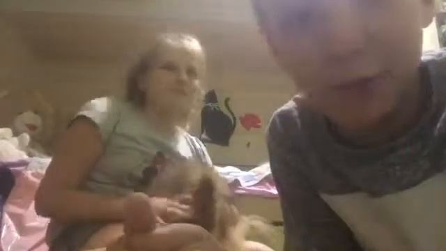 Обучение командам ,, Задние лапы" смотреть онлайн