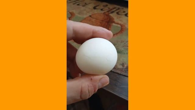 Как варить белые куриные яйца что бы они хорошо чистились/#Shorts смотреть онлайн