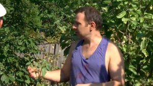 Как уберечь растения от жары ☀☂? Простой способ защиты