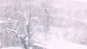 Метелица, Вьюга и Снежная Королева