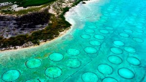 Тысячи Таинственных Дыр Обнаружены на Дне Океана — Самые Загадочные Явления в Океане