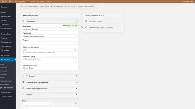 WP-Recall: Обзор страницы "Форма публикации" (overview of the "Publication form" page) смотреть онлайн