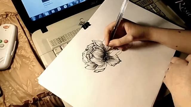 как нарисовать пионы смотреть онлайн