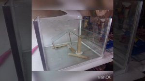 Террариум для красноухой черепахи своими руками