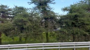 Аэропорт Мальпенса - MILANO CENTRO .#video #italia #malpensa