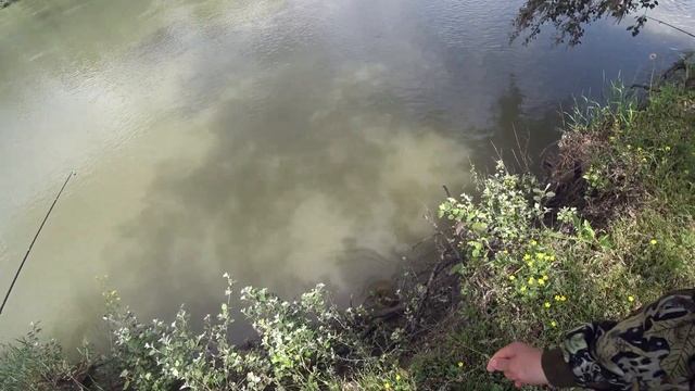 рыбалка на кубани рыбалка на реке кубань рыбалка на сома рыбалка варениковская  варениковка рубань
