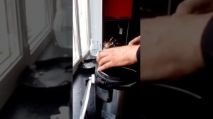 Ремонт мультиварки поларис