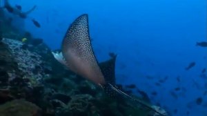 atb-beautiful worlds