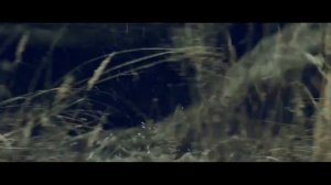 Мини Джипы Урал Моторс