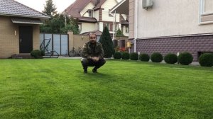 Уход за газоном в дождливую осень