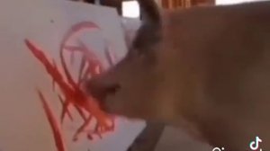 ? Свинья?Мем