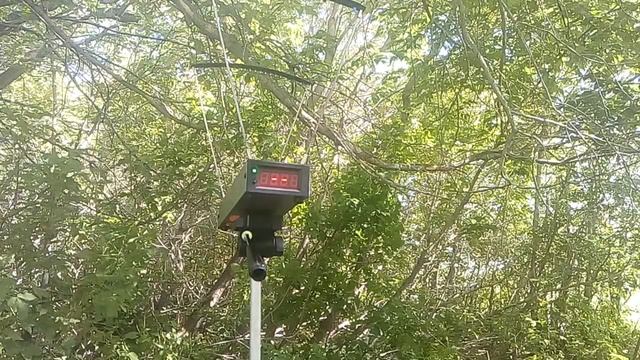 Отстрел Сокола партии № 23, 2002г через хронограф смотреть онлайн