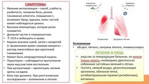4.3. Пневмония