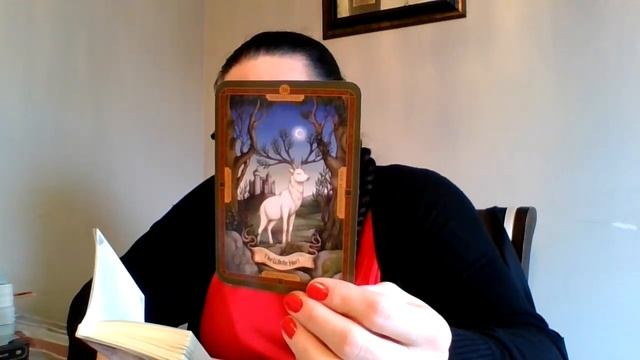 Oracle for today смотреть онлайн