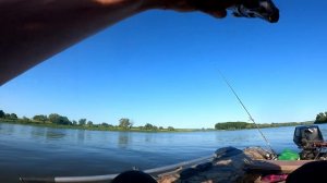 9 СУДАКОВ С ОДНОЙ ТОЧКИ, ЛОВЛЯ СУДАКА В ИЮНЕ 2023 НА СПИННИНГ