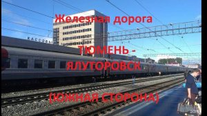 Железная дорога Тюмень - Винзили - Ялуторовск (вид из окна поезда, южная сторона) (Транссиб, СВЖД)