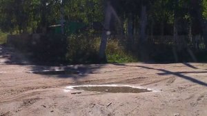 скарлахта