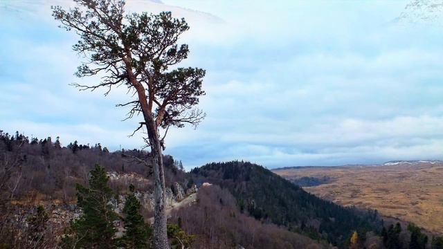 Адыгея плато Лагонаки смотреть онлайн