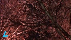 Вечерняя подсветка на Воробьевых горах