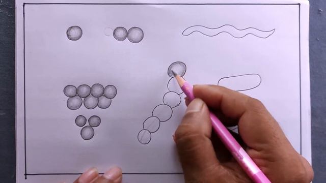 how to draw different shapes of bacteria/bacteria drawing смотреть онлайн