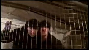 Капа и Картель - Капа и Картель