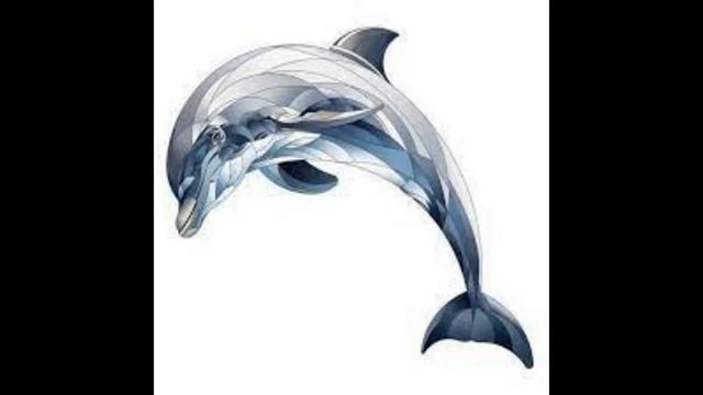 дельфины улыбаются смотреть онлайн