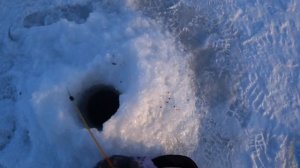 Подледная Рыбалка 2023 - 3 дня на льду, ТАКОЙ ПЛОТВЫ ЗИМОЙ Я НЕ ЛОВИЛ