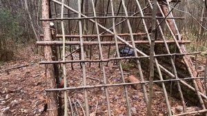 Построил шалаш в лесу.Сделал крышу.Shelter in the woods.Made a roof.