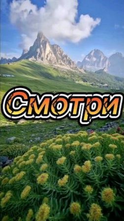 Смотри!